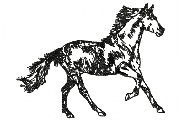 Horse Line: A Designer’s Holiday Review